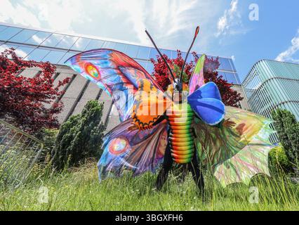 Imperial College Londres, Royaume-Uni. 06 juin 2025. A la veille du grand festival de la route de l'exposition, un costume de papillon coloré inmense a été dévoilé par l'Imperial College, 4 Mt d'ailes de haut, en préparation du festival Butterflys Carnival 6-7 mai Exhibition Road.Paul Quezada-Neiman/Alamy Live News Credit : Paul Quezada-Neiman/Alamy Live News Banque D'Images