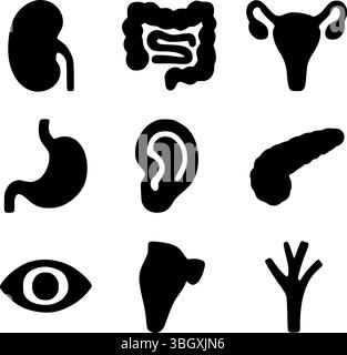 Ensemble d'icônes Silhouette des organes internes humains et des organes sensoriels | vecteur d'anatomie médicale Illustration de Vecteur