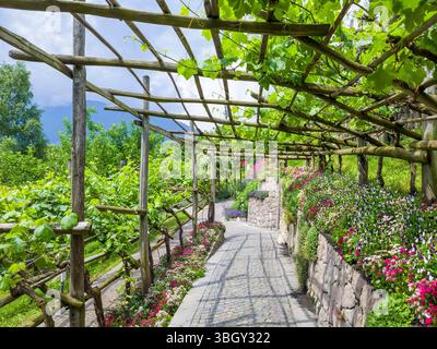 Die Gärten von Schloss Trauttmansdorff, Meran, Südtirol, Italien, Europa Die Gärten von Schloss Trauttmansdorff, Meran, Südtirol, Italien *** le Gard Banque D'Images