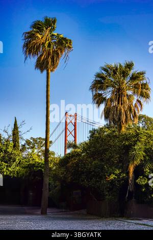 Les palmiers tropicaux du Parque das Necessidades encadrent l'emblématique pont du 25 avril de Lisbonne sous un ciel bleu clair par une journée d'été ensoleillée. Banque D'Images
