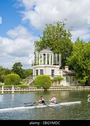 Aviron sur la Tamise, Temple Island, River Thames, NR Henley-on-Thames, Angleterre, UK, GB. Banque D'Images