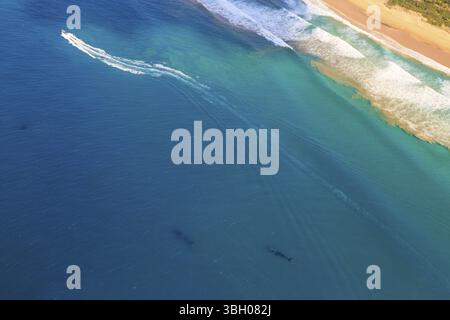 Vue aérienne de l'observation des baleines pendant la migration entre juin et novembre en saison hivernale. Sainte-Lucie, Parc humide iSimangaliso, Afrique du Sud, Afrique Banque D'Images