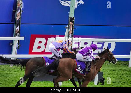 Epsom Downs Racecourse, Epsom, Surrey, Royaume-Uni. 6 juin 2025. The Oaks - une arrivée serrée avec la gagnante Minnie Hauk (Purple) avec Ryan Moore en haut, juste nez devant Whirl (Orange) avec Wayne Lordan en haut - au Betfred Derby Festival. Crédit : Motofoto/Alamy Live News Banque D'Images