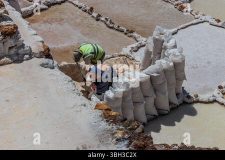 MARAS, PÉROU - 8 NOVEMBRE 2022 : les populations locales travaillent dans les mines de sel de Maras dans la Vallée sacrée des Incas, Pérou Banque D'Images