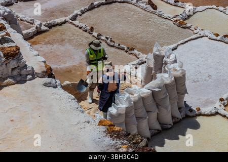 MARAS, PÉROU - 8 NOVEMBRE 2022 : les populations locales travaillent dans les mines de sel de Maras dans la Vallée sacrée des Incas, Pérou Banque D'Images
