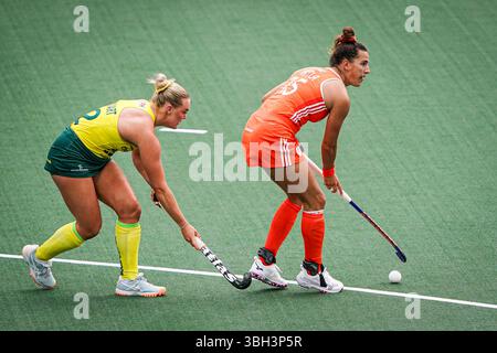 Amsterdam, pays-Bas. 07 juin 2025. AMSTERDAM, PAYS-BAS - 7 JUIN : Frederique Matla, des pays-Bas, se bat pour la possession avec Tatum Stewart, de l'Australie, lors du match de la FIH Hockey Pro League 2025 entre les pays-Bas et l'Australie au stade de Wagener le 7 juin 2025 à Amsterdam, pays-Bas. (Photo par Andre Weening/Orange Pictures) crédit : Orange pics BV/Alamy Live News Banque D'Images