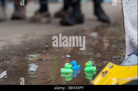 Nuremberg, Allemagne. 07 juin 2025. Trois canetons en plastique colorés nagent dans une flaque d'eau sur le camping au festival en plein air 'Rock im Park' à Nuremberg. Crédit : Leonie Asendorpf/dpa/Alamy Live News Banque D'Images