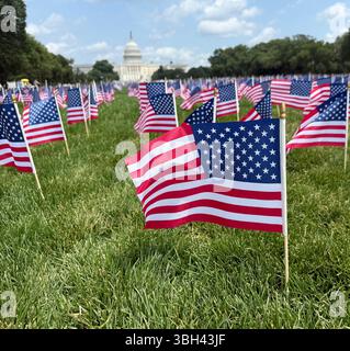 Washington DC, 6 juin 2025 : les drapeaux américains sur le National Mall à Washington, DC représentent le personnel militaire qui a souffert avec PSTD.PatsyLynch Banque D'Images