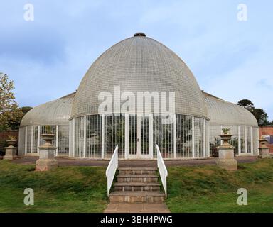 The Palm House au jardin botanique de Bicton Park Banque D'Images