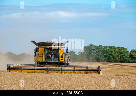 Récolte de blé Otley Suffolk UK Banque D'Images