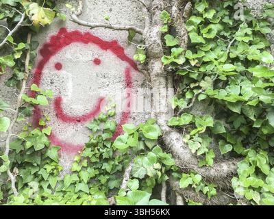 Symbole de sourire sur le mur entouré de végétation Banque D'Images