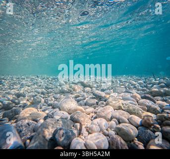 Plan sous-marin d'un lit de rivière serein et rocheux sous une eau cristalline, une vue aquatique tranquille. Banque D'Images