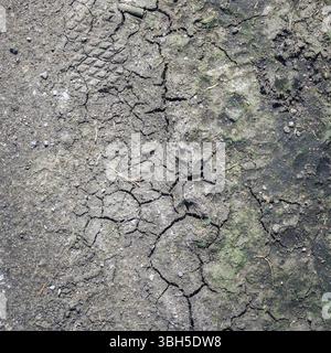 Texture de gros plan de sol sec. Craquer le sol en saison sèche. Effet réchauffement climatique Banque D'Images