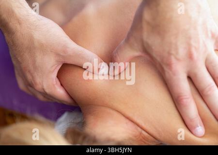 Le physiothérapeute effectue un massage des tissus profonds sur l'épaule d'un patient pour soulager la tension musculaire et améliorer la mobilité dans un cadre thérapeutique. Banque D'Images