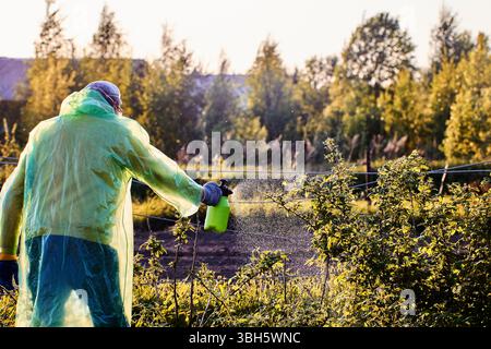 Pulvérisateur de jardin manuel avec mécanisme de pompe permet à l'utilisateur de comprimer l'air et de libérer le liquide uniformément en appuyant sur la gâchette pour le traitement des plantes. Banque D'Images