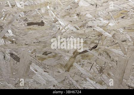 Panneau de bois composé d'éclats pressés, de couleur claire et naturelle Banque D'Images