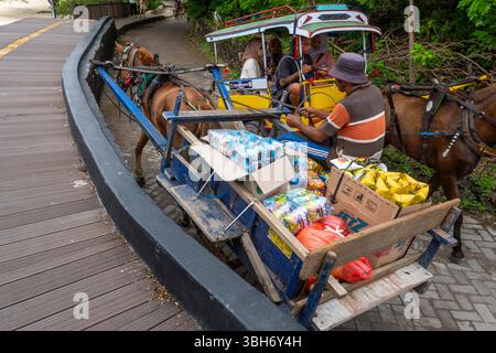 Gili Trawangan, Indonésie - 4 janvier 2025 : un homme tire un chariot avec beaucoup de nourriture et de boissons dessus. Un cheval tire la charrette Banque D'Images