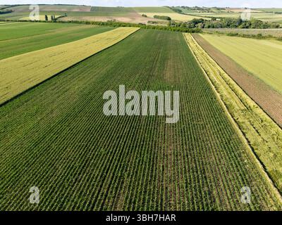 Vue aérienne d'un champ agricole. Banque D'Images