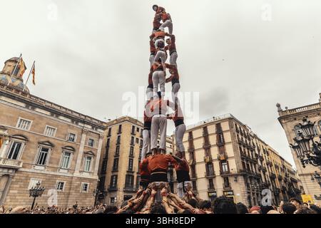 Barcelone, Espagne. 8 juin 2025. Les 'Castellers de Barcelona' construisent une tour humaine lors de la 'diada Castellera' pour leur 56e anniversaire crédit : Matthias Oesterle/Alamy Live News Banque D'Images