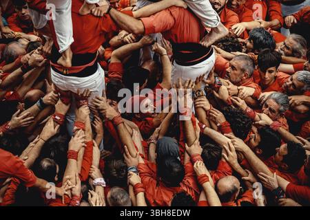 Barcelone, Espagne. 8 juin 2025. Les 'Castellers de Barcelona' construisent la base d'une tour humaine pendant la 'diada Castellera' pour leur 56e anniversaire crédit : Matthias Oesterle/Alamy Live News Banque D'Images