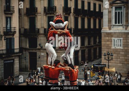Barcelone, Espagne. 8 juin 2025. Les 'Castellers de Barcelona' construisent une tour humaine lors de la 'diada Castellera' pour leur 56e anniversaire crédit : Matthias Oesterle/Alamy Live News Banque D'Images
