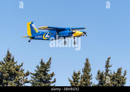 les avions monomoteurs jaunes et bleus volent bas au-dessus d'un peuplement de pins à feuilles persistantes contre un ciel bleu clair. Banque D'Images