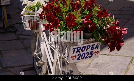 TROPEA, ITALIE - 02 JUIN 2025 - fleurs rouges décorant un vélo blanc à Tropea, avec un panneau faisant la promotion de l'année 2025 Banque D'Images