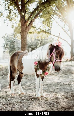 Poney décoré avec corne de licorne dans des pâturages ensoleillés Banque D'Images