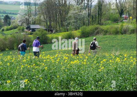 Groupes de promeneurs dans la campagne autour de celles, l'un des plus beaux villages de Wallonie. Promenade entre amis | groupes de marcheurs dans le co Banque D'Images