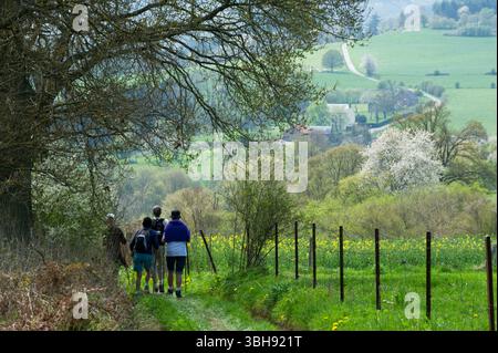 Groupes de promeneurs dans la campagne autour de celles, l'un des plus beaux villages de Wallonie. Promenade entre amis | groupes de marcheurs dans le co Banque D'Images