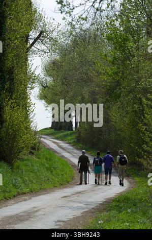 Groupes de promeneurs dans la campagne autour de celles, l'un des plus beaux villages de Wallonie. Promenade entre amis | groupes de marcheurs dans le co Banque D'Images