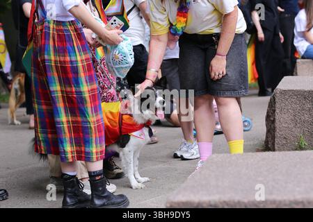 Vilnius, Lituanie - 7 juin 2025 : chien dans la foule à la Baltic Pride 2025 mars, pendant la célébration du mois international de la fierté. Banque D'Images