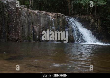 Cascade dans le parc national de Springbrook Banque D'Images