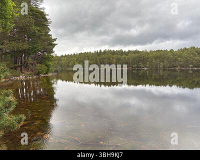 Promenade relaxante à travers les bois de Rothiemurchus jusqu'au paisible Loch an Eilein, avec un château en ruines encadré de pins anciens et de pics Cairngorm. Banque D'Images