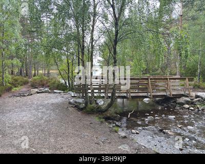 Promenade relaxante à travers les bois de Rothiemurchus jusqu'au paisible Loch an Eilein, avec un château en ruines encadré de pins anciens et de pics Cairngorm. Banque D'Images