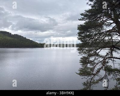 Promenade relaxante à travers les bois de Rothiemurchus jusqu'au paisible Loch an Eilein, avec un château en ruines encadré de pins anciens et de pics Cairngorm. Banque D'Images