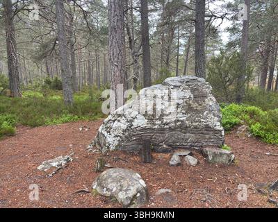 Promenade relaxante à travers les bois de Rothiemurchus jusqu'au paisible Loch an Eilein, avec un château en ruines encadré de pins anciens et de pics Cairngorm. Banque D'Images