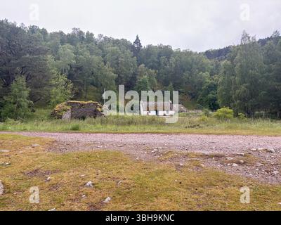 Promenade relaxante à travers les bois de Rothiemurchus jusqu'au paisible Loch an Eilein, avec un château en ruines encadré de pins anciens et de pics Cairngorm. Banque D'Images