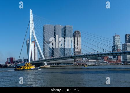 Pont Erasmus alias Erasmusbrug, Rotterdam, pays-Bas Banque D'Images
