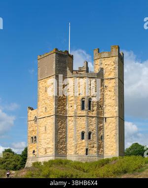 Rendu jaune sur le projet de conservation de la pierre, Château d'Orford, Suffolk, Angleterre, Royaume-Uni Banque D'Images