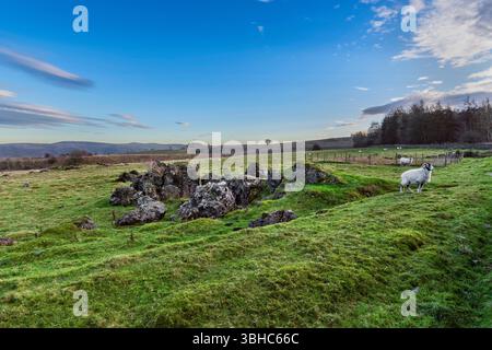 Grand rocher de quartz dans le champ à côté de Dirtlow Rake à Pindale près de Castleton, avec un ciel bleu spectaculaire Banque D'Images