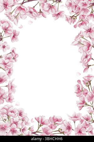 Cadre en fleurs de cerisier. Sakura Blossom. Petites fleurs roses. Pétales et branches. Fête du printemps. Illustration aquarelle sans fond. Main Banque D'Images