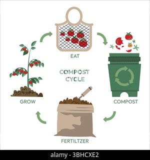 Infographie du cercle de vie compost. Procédé de compostage. Recyclage des déchets organiques provenant de la collecte des déchets de cuisine pour utiliser du compost pour l'agriculture. Zéro déchet Illustration de Vecteur