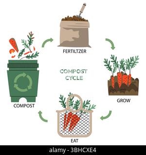 Infographie du cercle de vie compost. Procédé de compostage. Recyclage des déchets organiques provenant de la collecte des déchets de cuisine pour utiliser du compost pour l'agriculture. Zéro déchet Illustration de Vecteur