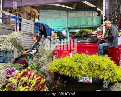 Commerce de fleurs, Mercado Jamaica, l’un des marchés publics traditionnels de Mexico. CDMX, Mexique Banque D'Images