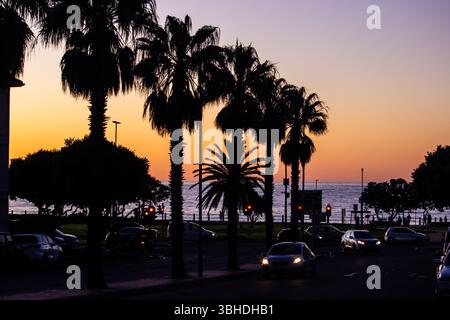 Silhouette de palmiers contre le ciel doré du crépuscule le long de la promenade à Cape Town, Afrique du Sud. Banque D'Images