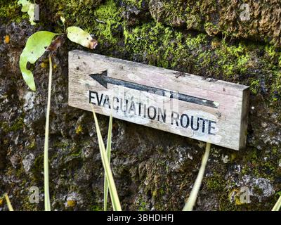 Un panneau de route d'évacuation en bois altéré et une flèche pointant sur un mur de roche moussue Banque D'Images