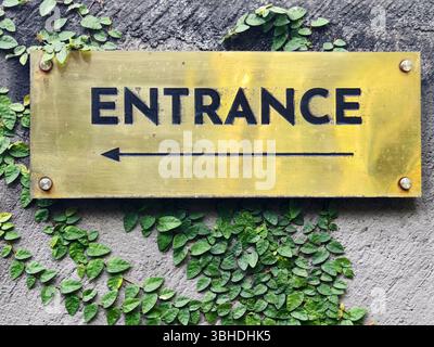 Un panneau d'entrée en laiton avec une flèche pointant sur un mur couvert vert Banque D'Images