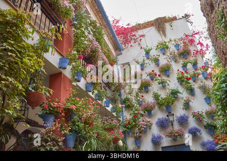 Patio andalou traditionnel rempli de pots de fleurs aux couleurs vives telles que géraniums, pétunias et bougainvilliers, décorant le mur blanchi à la chaux Banque D'Images
