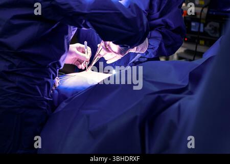 LK Osnabrück, Deutschland 30. Januar 2023 : Im Bild : beginn eines chirurgischen Eingriffs in einem hochmodernen Operationssaal eines Krankenhauses. Der Operateur, gekleidet in stérile OP-Kleidung und mit chirurgischen Handschuhen, setzt mit einem Skalpell einen kleinen, präzisen Hautschnitt. Dieser initiale Inzision ist der erste Schritt für einen minimalinvasiven Eingriff z.B. eine Laparoskopie, BEI dem das Gewebe SO schonend wie möglich behandelt wird. Die Szene verdeutlicht die Absolute Präzision, Konzentration und expertise, die in der modernen chirurgie und BEI schonenden Operationsmethode Banque D'Images